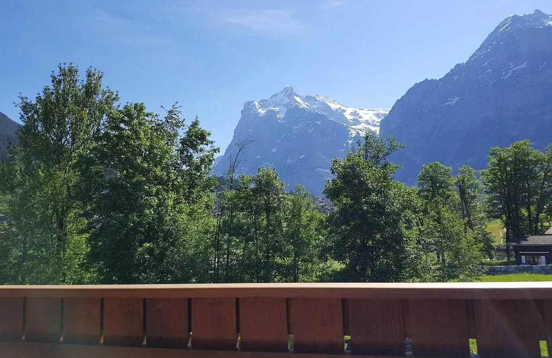 Chalet Bodenwald-1