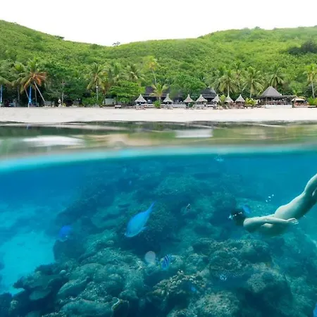 Octopus Resort-3