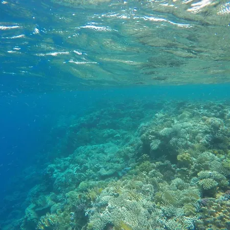 Star Of Dahab Hotel-2