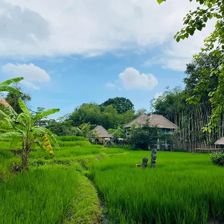 Kts Balinese Villas-3