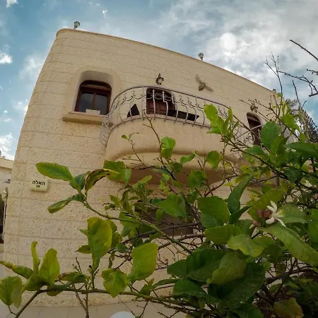 Exodus Hostel & Dive Center-2