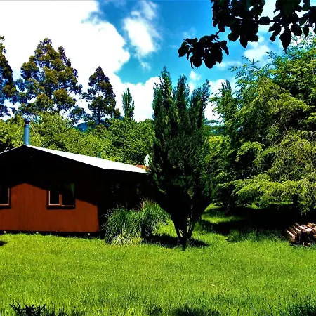Cabana Calcurrupe - Lago Ranco-2