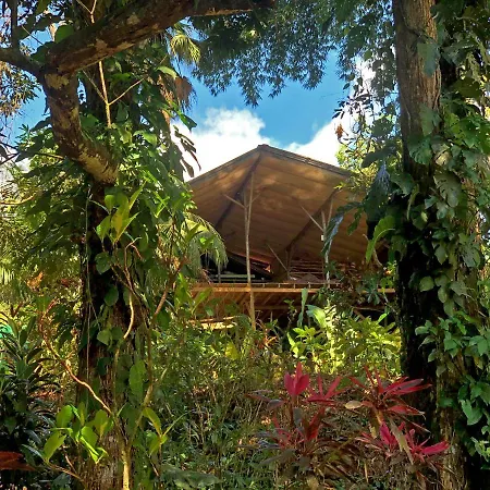 Cascada Verde Eco Lodge-3