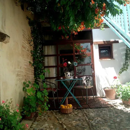 Patio Del Limonero-2