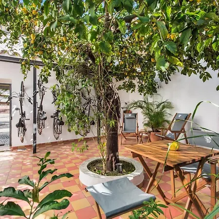 Lemon Tree Stay-3