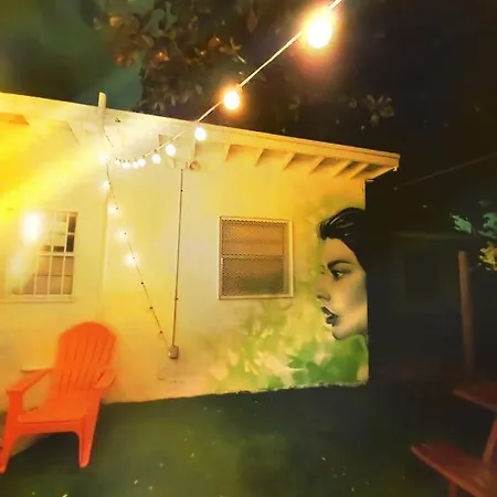 The Color House-2