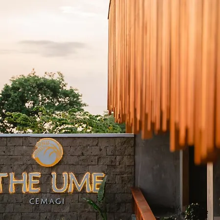 The Ume-3