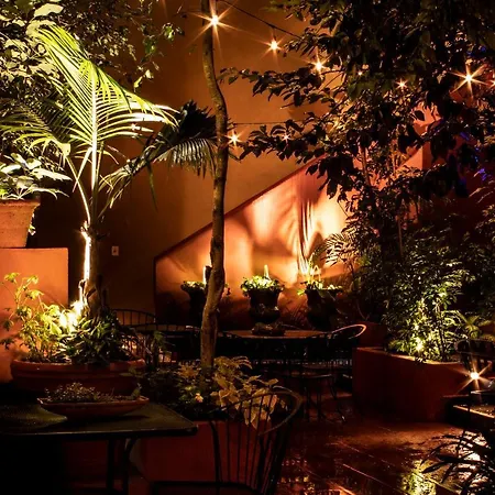 The Red Tree House-2