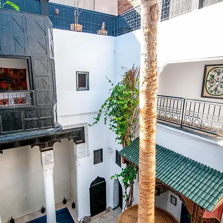 Riad Makila-2