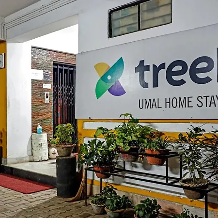Treebo Umal Homestay Ganeshguri-3