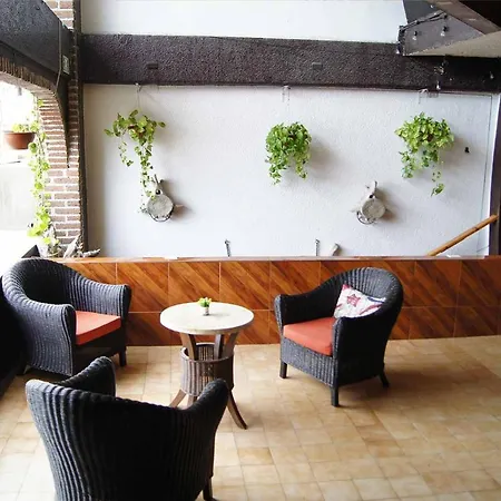Cabo Tortuga Hotel Boutique-3
