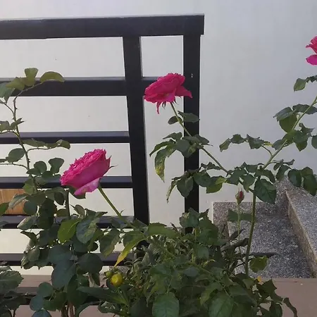 Mai Dalat Homestay-3