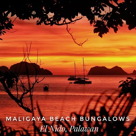Maligaya Beach Bungalows-2