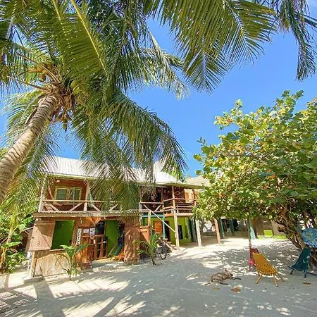 Bella'S Backpackers Hostel-2