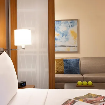 Hyatt Place Houston Downtown-2
