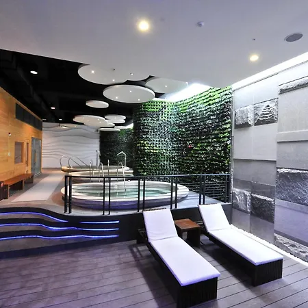 Golden Tulip - Aesthetics-3