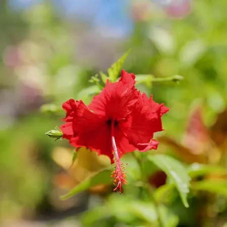 Tai Roto Bay-3