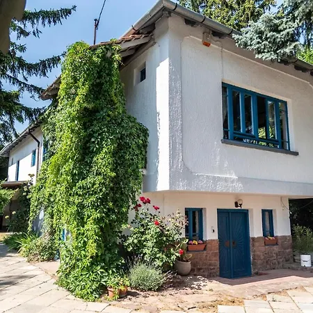 Liget Vendeghaz-2