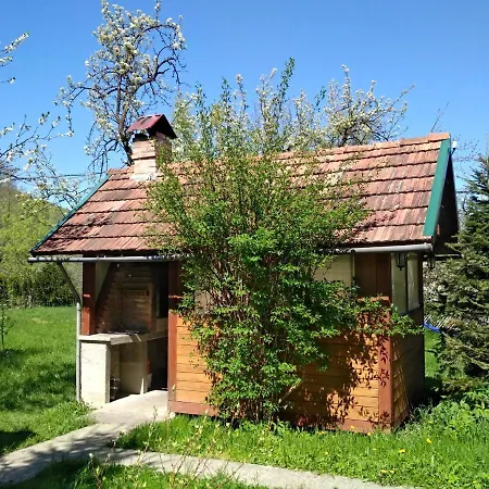 Zelena Sadyba Bila Stavka-3