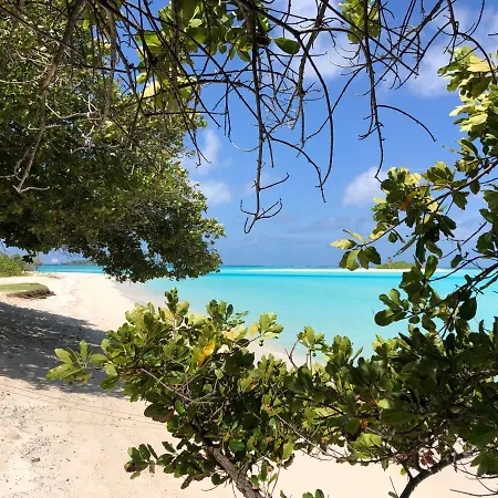 Royal Reef Stay-2