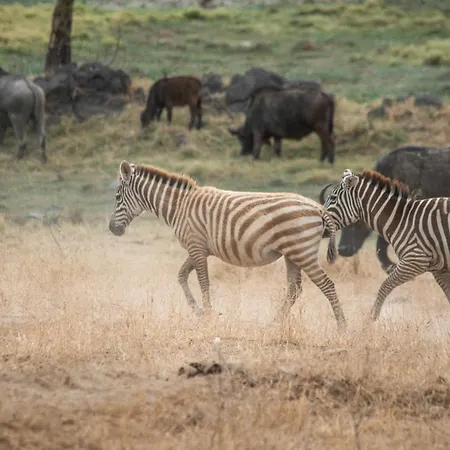 Sarova Lion Hill Game Lodge-2