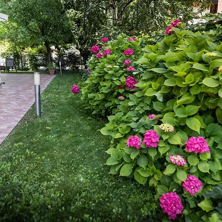 Verona Suites-3