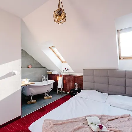 Petra Inn Apartments In Historical Palace Bratislava-2