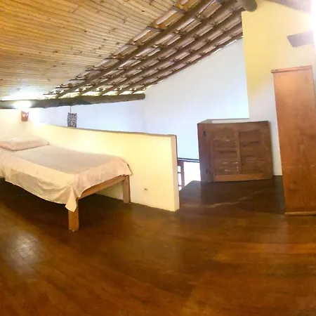 Casa Bromelia Green-2