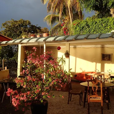 Le Cactus Guesthouse-2