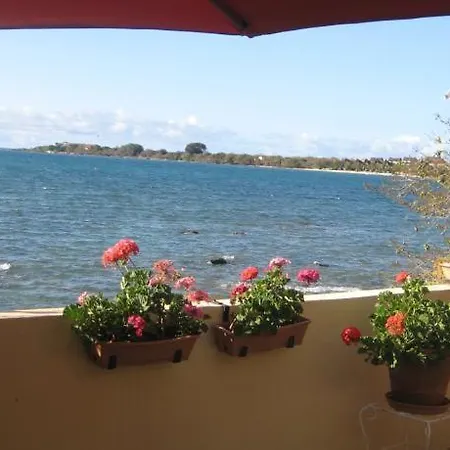 Le Cactus Guesthouse-3