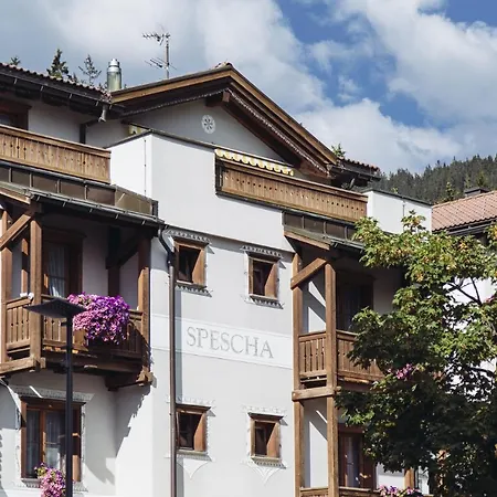 Hotel Spescha-2