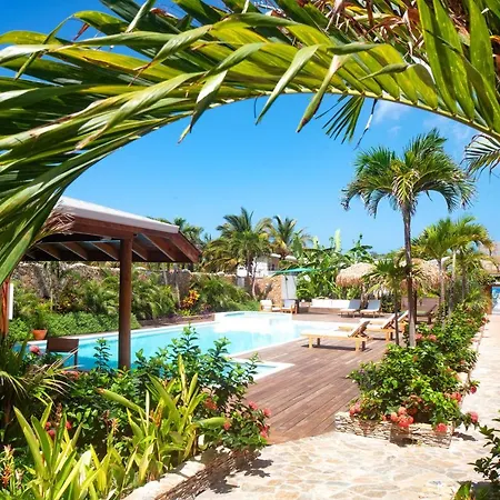 Naboo Resort & Dive Center - Adults Only-2