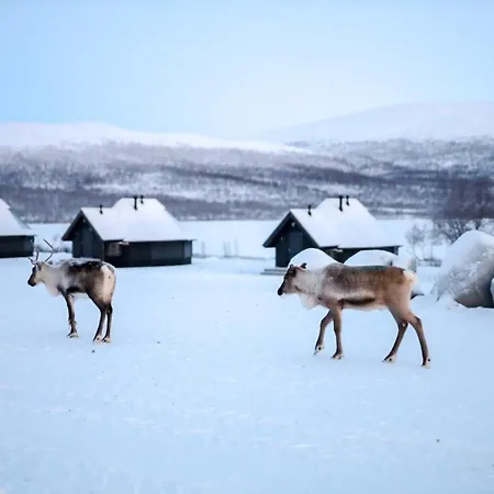 Arctic Land Adventure Glass Igloos-3