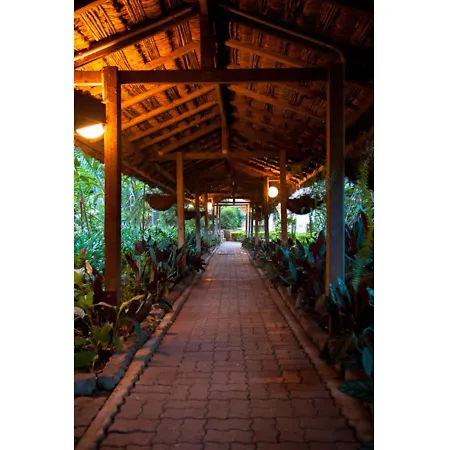 Bird Of Paradise Hotel-3