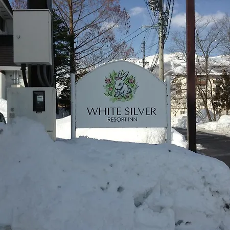 White Silver Hakuba-3