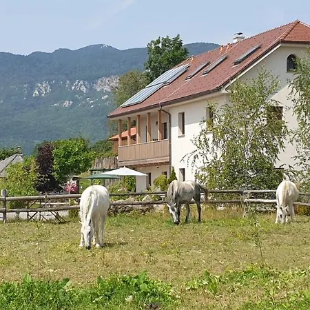 Lipizzaner Lodge Guest House-2