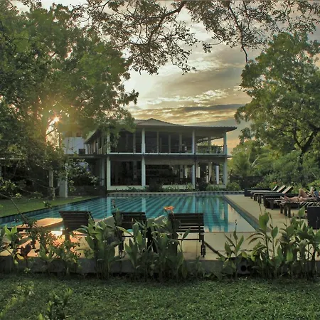 Blue Turtle Hotel-3