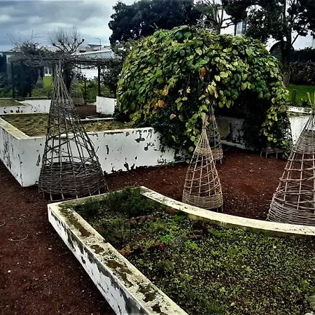Quinta Do Bom Despacho-3