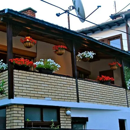 Hostel Bushati-3