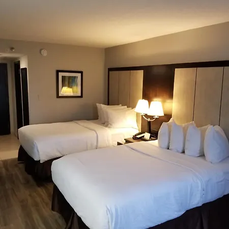 Wyndham Garden Hotel - Jacksonville-2