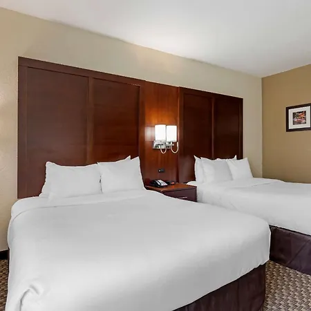Comfort Inn & Suites Near Six Flags & Medical Center-3