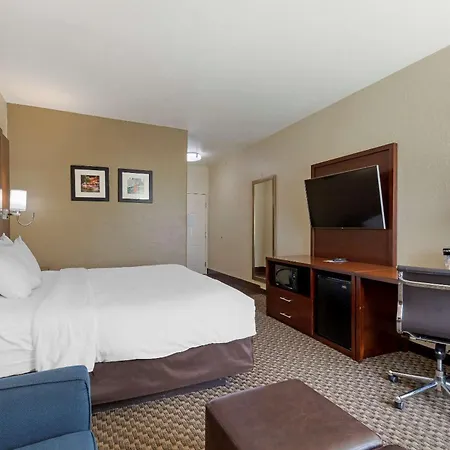 Comfort Inn & Suites Near Six Flags & Medical Center-2