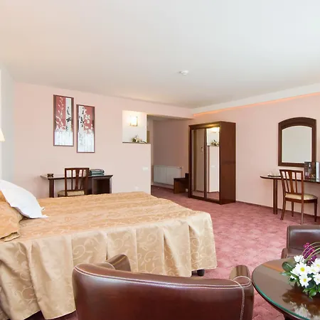 Hotel Ambient-2