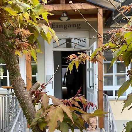 Landgasthof Rebstock Weil Am Rhein / Basel-2