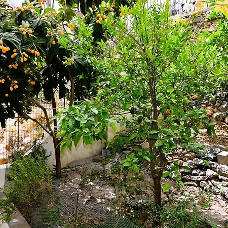 Holiday Home-2