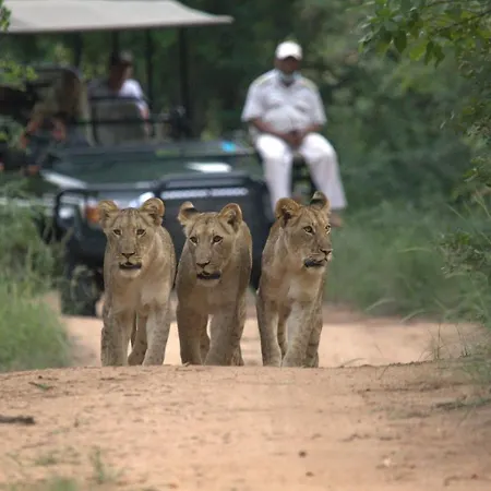 Karongwe- Shiduli Safari Lodge-3