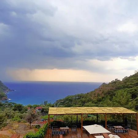 Tree Houses Hotel-2