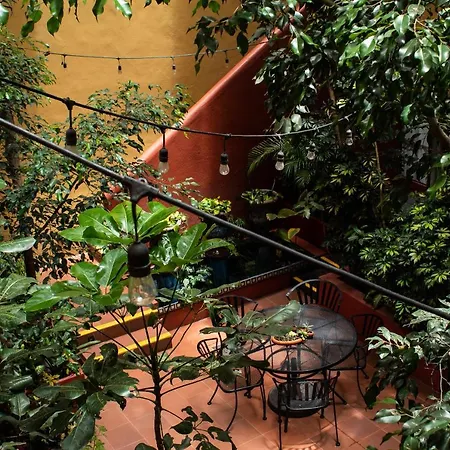 The Red Tree House-3