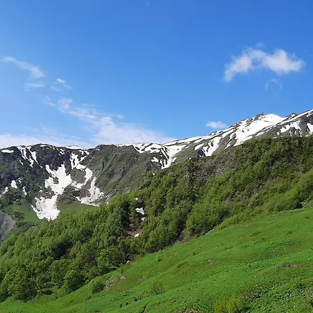 Xostel Luka-2