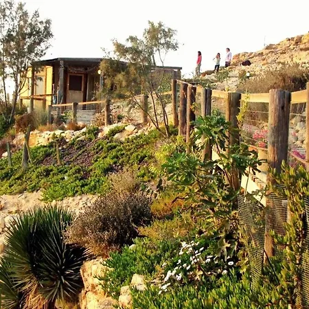 Alpaca Farm - חוות האלפקות-3